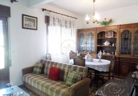 ✨ Unique Opportunity in Loulé – Two Houses on a 10,000 m² Plot