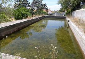 ✨ Unique Opportunity in Loulé – Two Houses on a 10,000 m² Plot