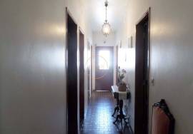 ✨ Unique Opportunity in Loulé – Two Houses on a 10,000 m² Plot