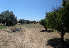 ✨ Unique Opportunity in Loulé – Two Houses on a 10,000 m² Plot