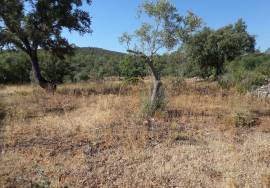 Land with Ruins to Renovate – Near Loulé