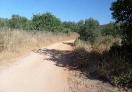 Land with Ruins to Renovate – Near Loulé