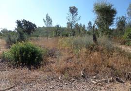 Land with Ruins to Renovate – Near Loulé