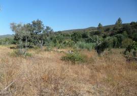Land with Ruins to Renovate – Near Loulé
