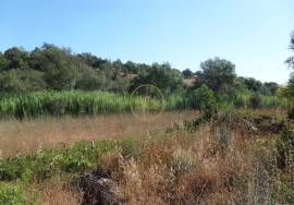 Land with Ruins to Renovate – Near Loulé