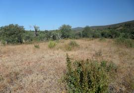 Land with Ruins to Renovate – Near Loulé