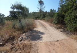 Land with Ruins to Renovate – Near Loulé