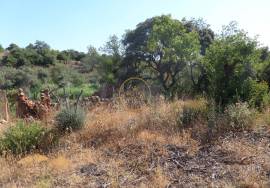 Land with Ruins to Renovate – Near Loulé