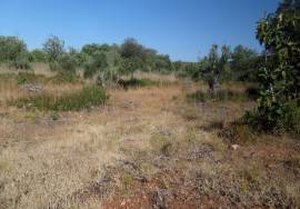 Land with Ruins to Renovate – Near Loulé