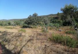 Land with Ruins to Renovate – Near Loulé