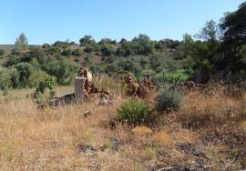 Land with Ruins to Renovate – Near Loulé