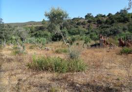 Land with Ruins to Renovate – Near Loulé