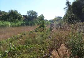 Land with Ruins to Renovate – Near Loulé