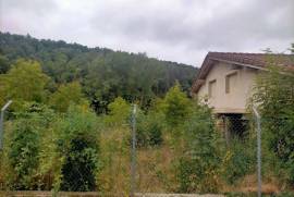 Cabin for sale with housing project