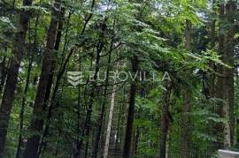 Severin na Kupi, agricultural land (forest) with a total area of 17,582 m².