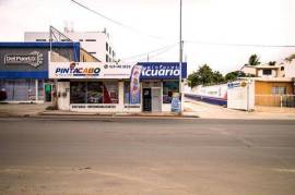 226 Leona Vicario Lote 12, Local Leona Vicario, Cabo San Lucas,