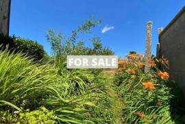 Beautiful House with Guest Cottage and Garden