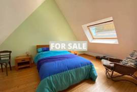 Beautiful House with Guest Cottage and Garden