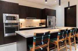 Tamarindo Park Lot 64: Sleek Modern Home with Seamless Indoor-Outdoor Living and Private Pool