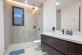 Tamarindo Park Lot 64: Sleek Modern Home with Seamless Indoor-Outdoor Living and Private Pool