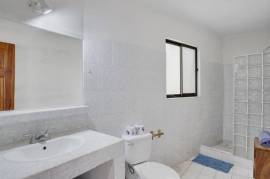 Finca Buena Fuente: 4-Acre Multi-Unit Tropical Oasis Near Playa Conchal, Costa Rica