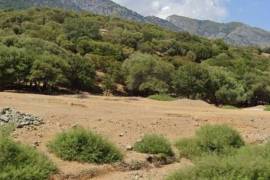 Agricultural 39734 sq.m.