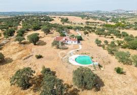Farm Elvas