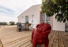 Farm Elvas