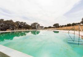 Farm Elvas