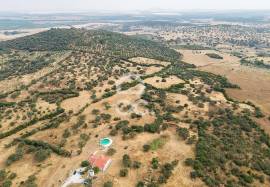 Farm Elvas