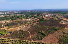 Rustic land with 48000 m2 at 3 km Arrifana beach - Aljezur