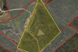Rustic land with 48000 m2 at 3 km Arrifana beach - Aljezur