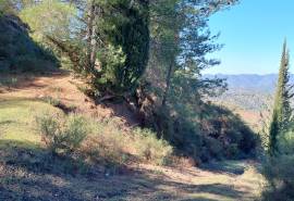 2 Excellent Plots of land for sale Near Paphos and Nicosia in