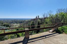 Estate of Properties for Sale In Pino D’Asti Piedmont