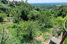 Estate of Properties for Sale In Pino D’Asti Piedmont
