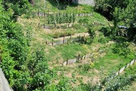Estate of Properties for Sale In Pino D’Asti Piedmont