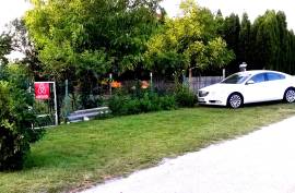 A Romantic riverside cottage on the Danube and one Business building for sale in Komárom