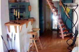 A Romantic riverside cottage on the Danube and one Business building for sale in Komárom