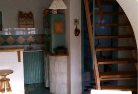 A Romantic riverside cottage on the Danube and one Business building for sale in Komárom
