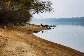 A Romantic riverside cottage on the Danube and one Business building for sale in Komárom