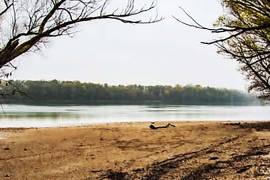 A Romantic riverside cottage on the Danube and one Business building for sale in Komárom