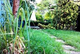 A Romantic riverside cottage on the Danube and one Business building for sale in Komárom