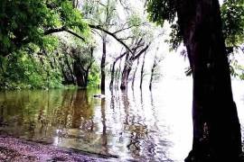 A Romantic riverside cottage on the Danube and one Business building for sale in Komárom