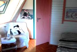 A Romantic riverside cottage on the Danube and one Business building for sale in Komárom