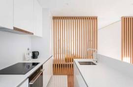 T0 apartment in Constituição for rent