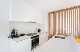 T0 apartment in Constituição for rent