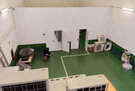 Warehouse for rent in Gamarra
