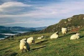 Urban land with excellent location and potential in Alonsotegi, just 10 minutes from Bilbao