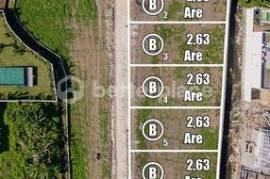 8 Plot Land Near Canggu – Block B of an 83 Are Land Leasehold Opportunity in Buduk