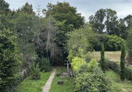 Character Village House with Garden